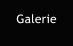 Galerie